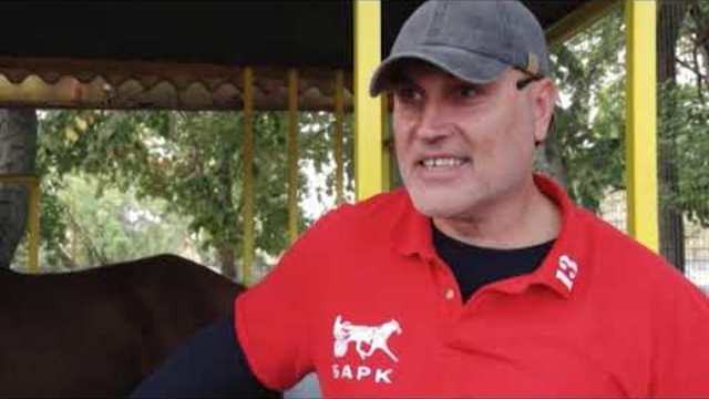 Конете на България: обзор на 2018 г., автор Диана Александрова