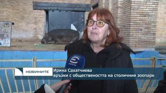 По-скъп билет и много нови услуги предлага софийският зоопарк от следващата година