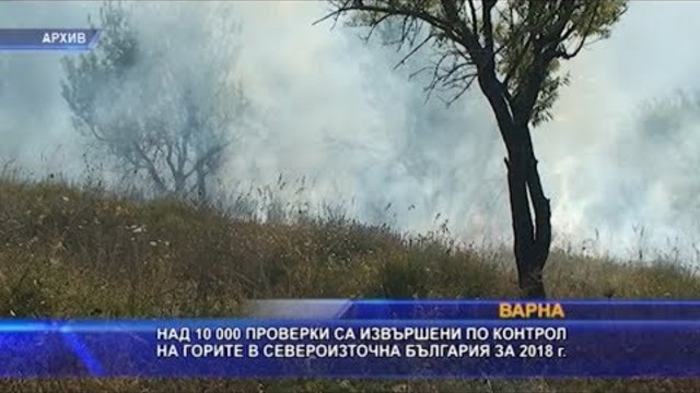 Над 10 000 проверки в горите в Североизточна България през изминалата година