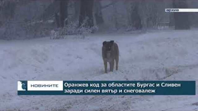 Оранжев код за областите Бургас и Сливен заради силен вятър и снеговалеж