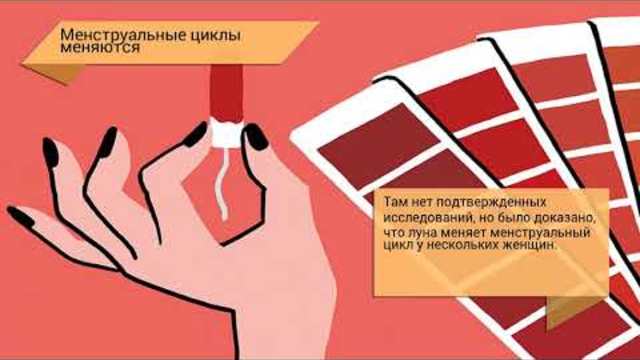 Курьезы полнолуния