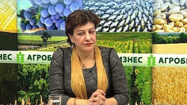 ГаоКао - Нови хоризонти от Китай