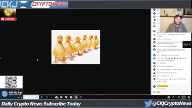 BIG BG 123 all DUCKS Lining up... START YOUR DAY WITH CKJ
