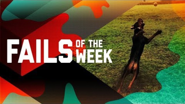 So Close, Yet So Far: Fails of the Week (January 2019)