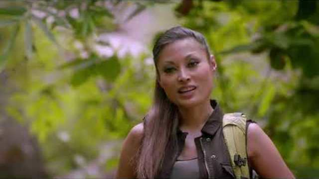 The Hunters 2013 BG AUDiO