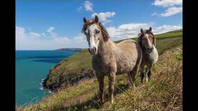 песни за деца | написах с моята ръчичка: мама | любими детски песни
