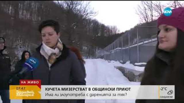 Кучета мизерстват в общински приют - Здравей, България (16.01.2019)