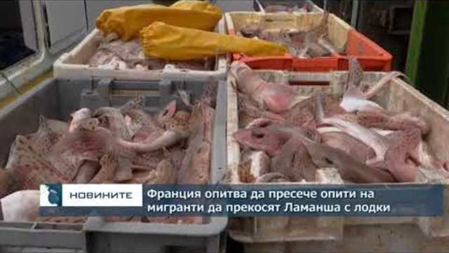 Франция опитва да пресече опити на мигранти да прекосят Ламанша към Англия