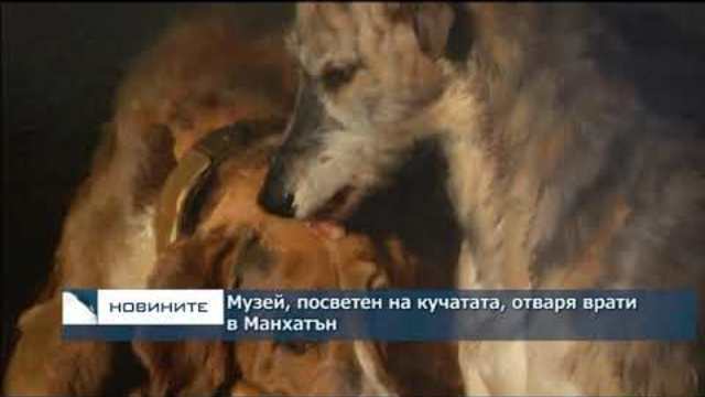 Музей, посветен на кучетата, отваря врати в Манхатан