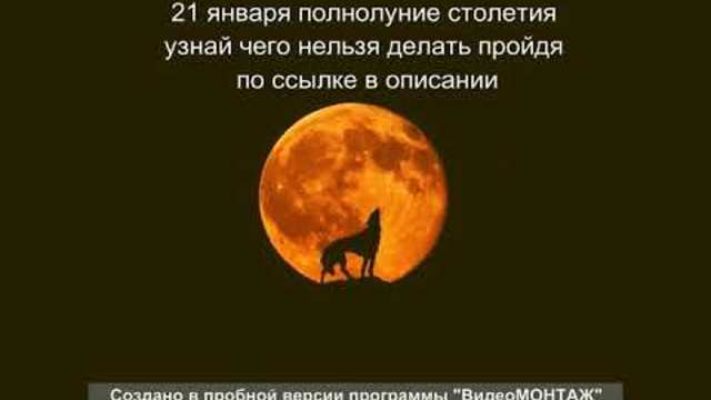 Полнолуние 21 января: что нельзя делать и чего опасаться в этот день