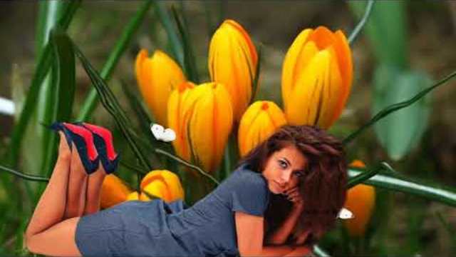 Олесь Богус    -   Ты такая вся.