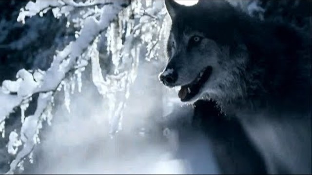 Вадим Манцев ( NikaDim)  -  ДЫШИ