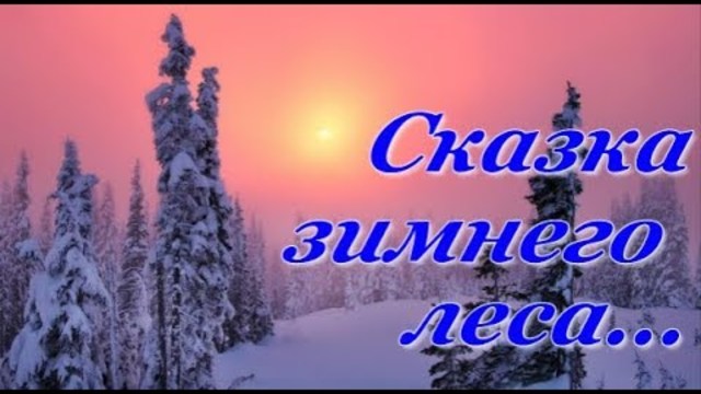 "Сказка зимнего леса..."