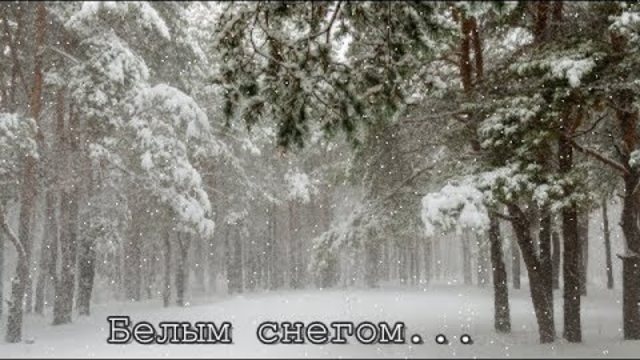 Алиса Игнатьева   -    БЕЛЫМ СНЕГОМ.../Потрясающее исполнение!/