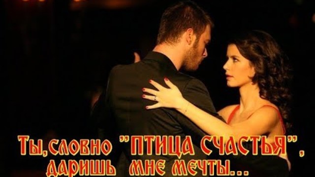 Виталий Вишневский  -  Ты, словно "ПТИЦА СЧАСТЬЯ", даришь мне мечты!