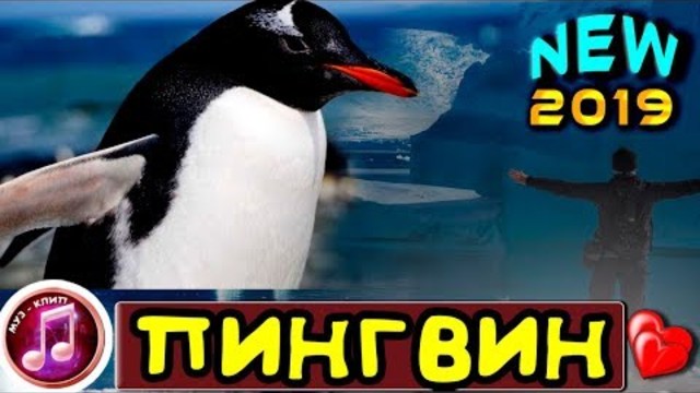 Игорь Виданов  -  Пингвин