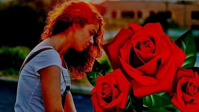 ГР. Сенатор  -  Три Розы