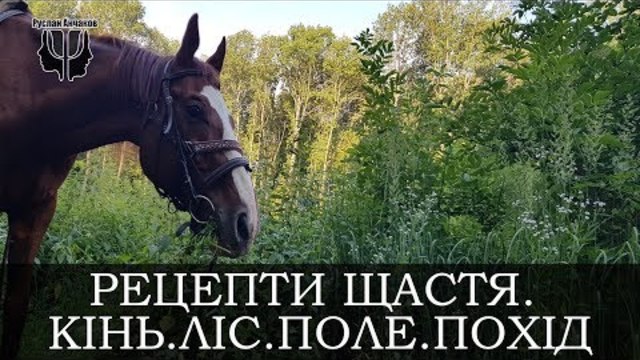 Рецепти Щастя. Кінь. Ліс. Поле. Похід. Психолог Руслан Анчаков.