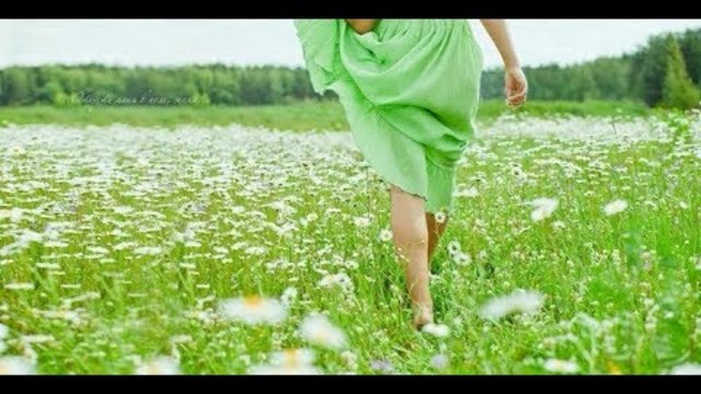 Андрей Гранкин  -  ЗОРЬКА!