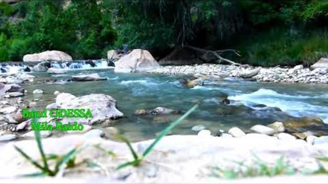 Band ODESSA   -   БЕЛАЯ БЕРЁЗА