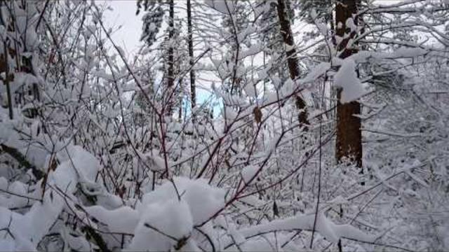 Музыка Сергей Грищук  -  ИСТОРИЯ ЛЮБВИ