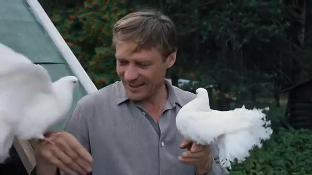 Любов и гълъби (Любовь и голуби 1984) Е01