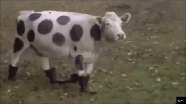 СМОТРИ И УЛЫБАЙСЯ!   А Я ИДУ ТАКАЯ ВСЯ ....