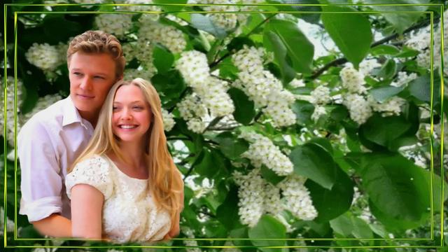 Андрей Рубежов - Черемуха.