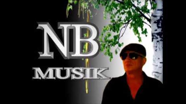 Николай  Берег   -   СБОРНИК- 2