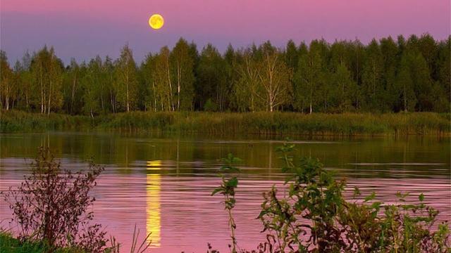 Валерий Фомин  -  ВЕЧЕР