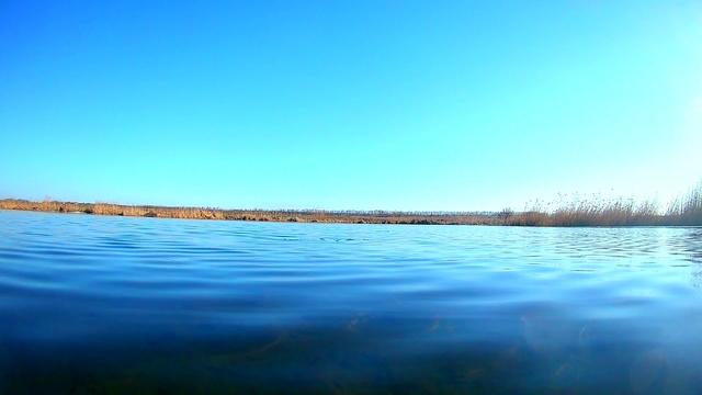 Музыка Сергей Грищук  -  ПОХОЖА НА МЕЧТУ