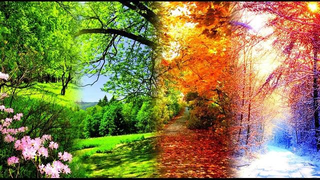 Музыка Сергей Грищук  -  ВРЕМЕНА ГОДА