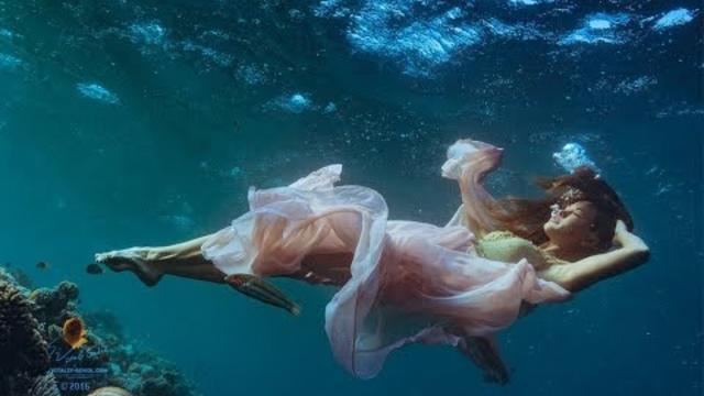 БОЖЕСТВЕННЫЙ САКСОФОН И ПРЕКРАСНЫЙ ТАНЕЦ С ДЕЛЬФИНАМИ