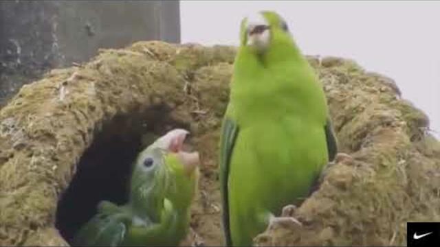 ЗАБУДЬ ПРОБЛЕМЫ, ПОДАРИ СЕБЕ ХОРОШЕЕ НАСТРОЕНИЕ...