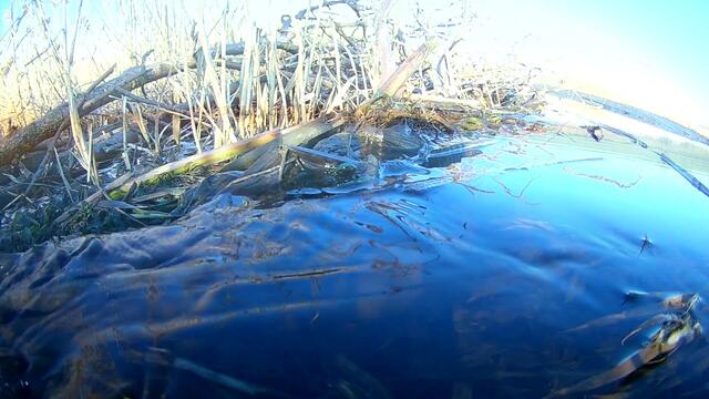 Музыка Сергей Грищук  -  МУЗЫКА  ДЛЯ  ДУШИ