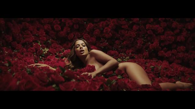 NEW 2019! Anitta FT. Prince Royce - *Rosa* (Official Music Video)