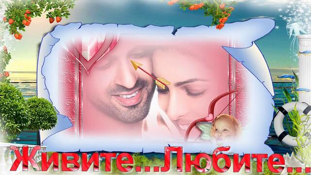 Живите...   Любите...