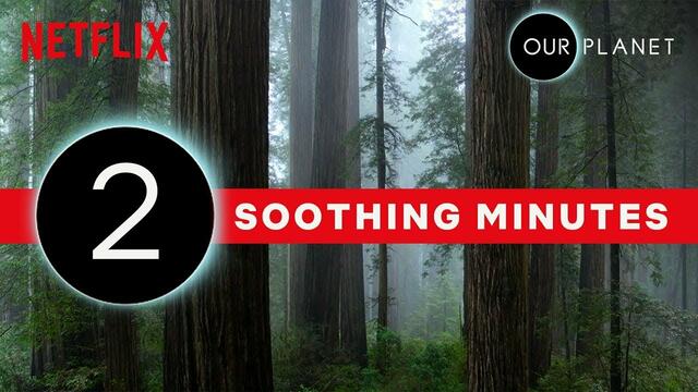 НАШАта ПЛАНЕТА - минути успокояваща природа # Our Planet | 2 Minutes of Soothing Scenery | Netflix