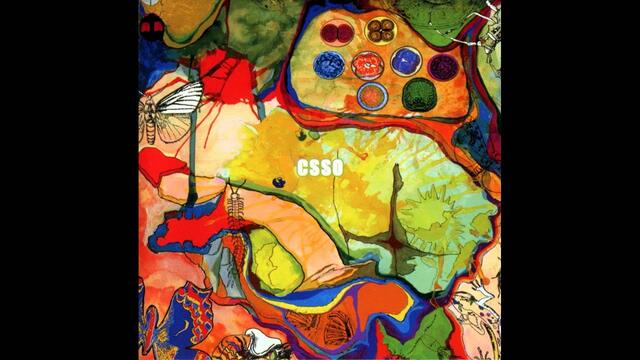 Clotted Symmetric Sexual Organ (C.S.S.O.) - Are You Excrements? FULL ALBUM (2001-Grind/Psych/Noise)