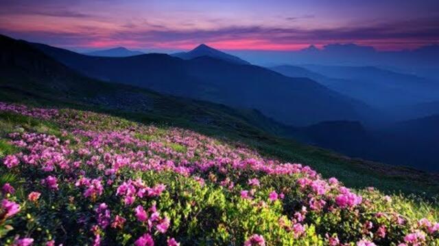 Композитор Эльдар Мансуров  - " Музыка гор"