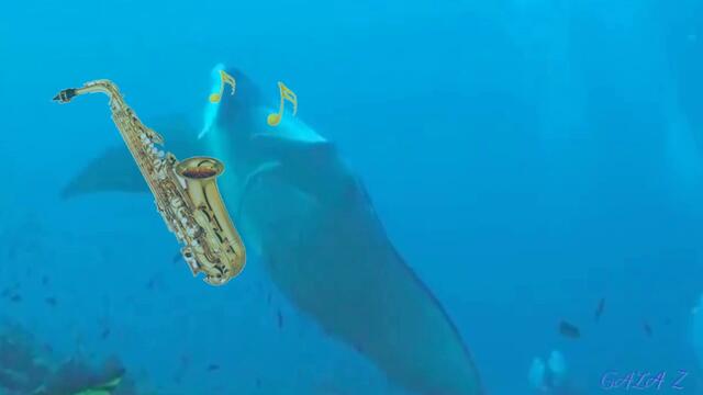 МЕЛОДИЯ ЛЮБВИ МОРЕ И САКСОФОН