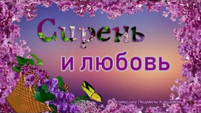 Сирень и любовь