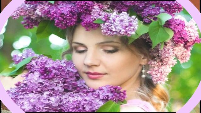 АХ,СИРЕНЬ,СИРЕНЬ...