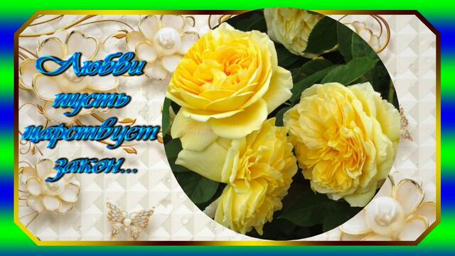 Красивое пожелание с Добрым утром. Розы для тебя .