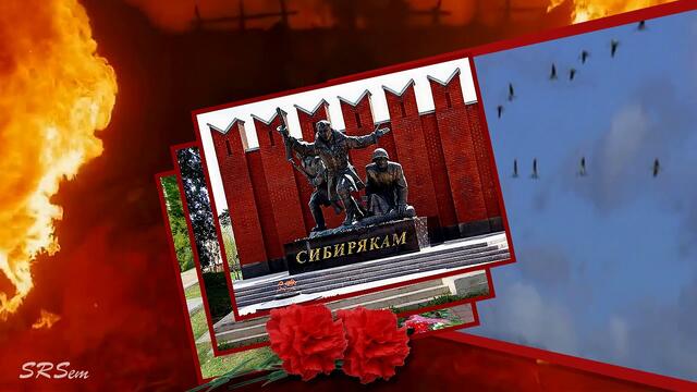 Журавли.К Дню Победы.