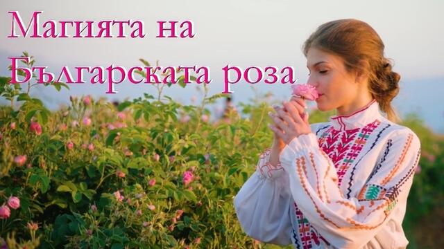 Магията на Българската роза