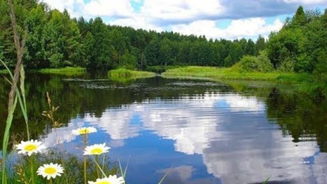 Не бойся выглядеть смешно, не бойся радоваться жизни ...