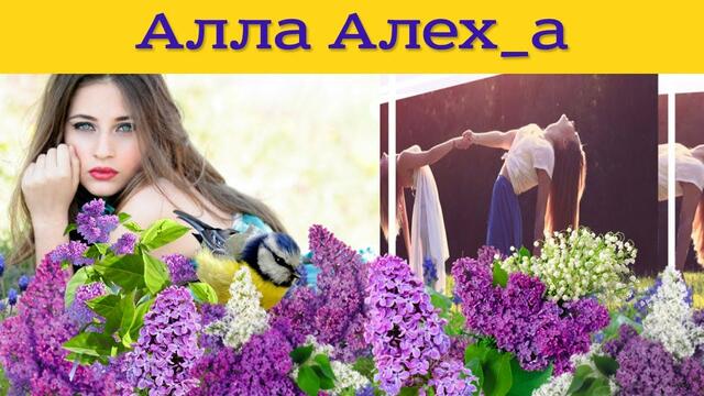 Сергей Чекалин   -   Ода сирени