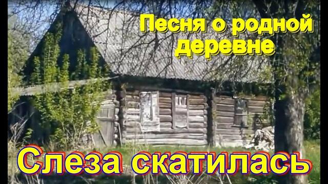 Александр Закшевский - Слеза скатилась