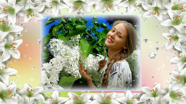 ЦВЕТЕТ СИРЕНЬ БЕЛОКУРАЯ!